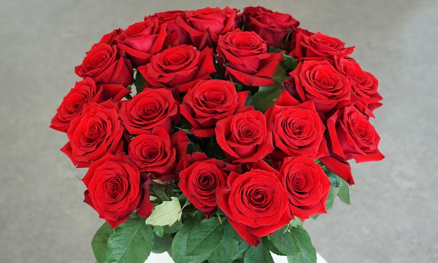 Image 24: *FLASH SALE* 24 or 36ct Roses Luxury Long Stem Rose Bouquet from Rose Farmers | Farm Fresh Roses (Up to 74% Off)