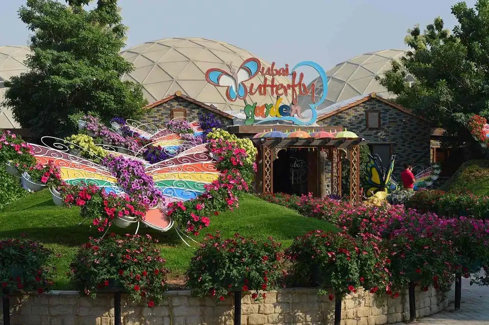 Dubai Butterfly Garden Entry…