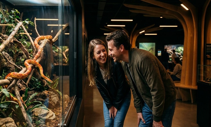 Image 4: Admission to Santa Fe's Bug and Reptile Museum 