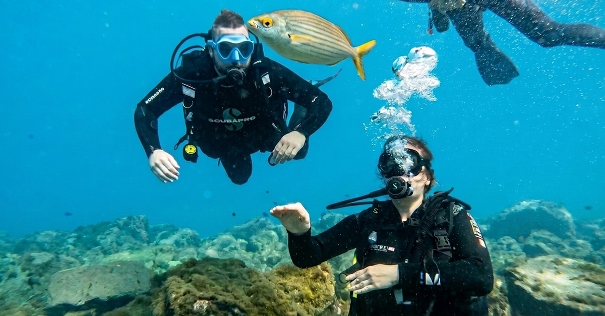 Bautismo de buceo con equipo completo en Tenerife para 1 o 2 personas
