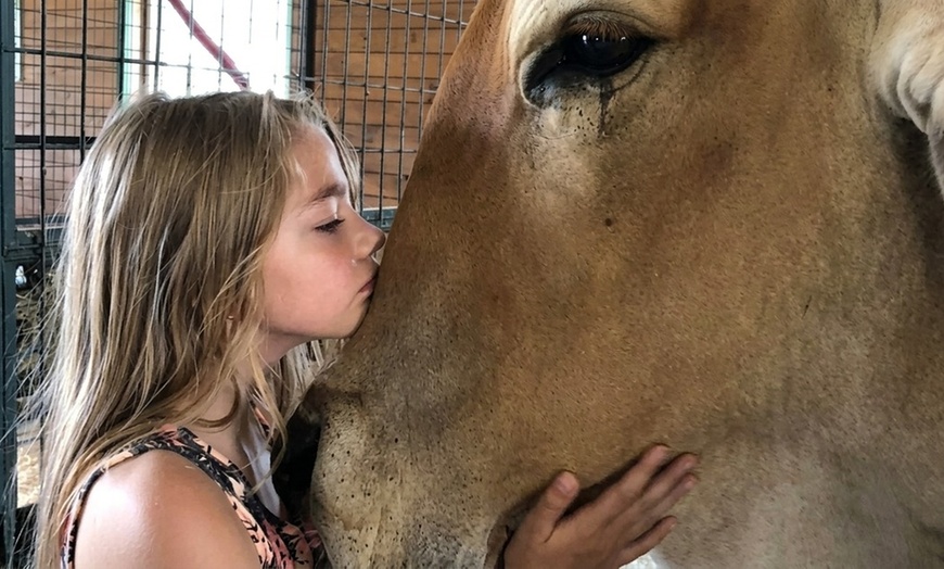 Image 5: Unleash the Fun at Maryland's Green Meadows Petting Farm!