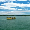 Image 5: Portland Duck Boat Tour: Land and Sea Adventure