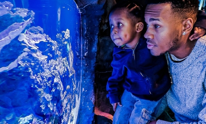 Image 2: Hands-On Science Museum: Interactive Exhibits & Giant Domed Theatre