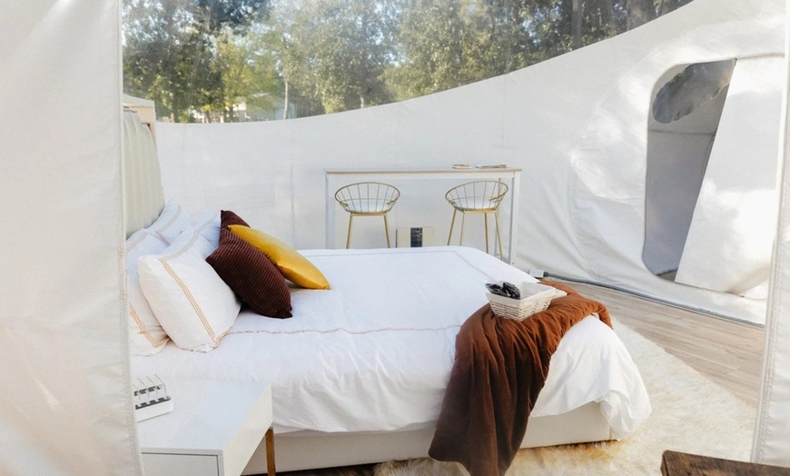 Image 30: Bubble Dome Glamping near Houston with Pool