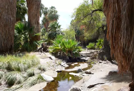 Indian Canyons