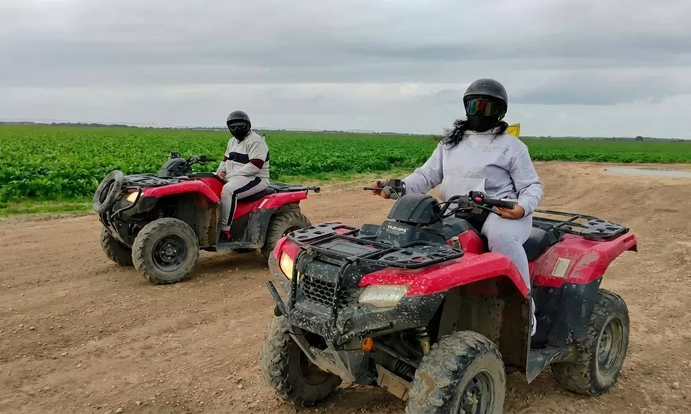 Experience the Thrill: One-Hour ATV Ride in Miami's Wild Side