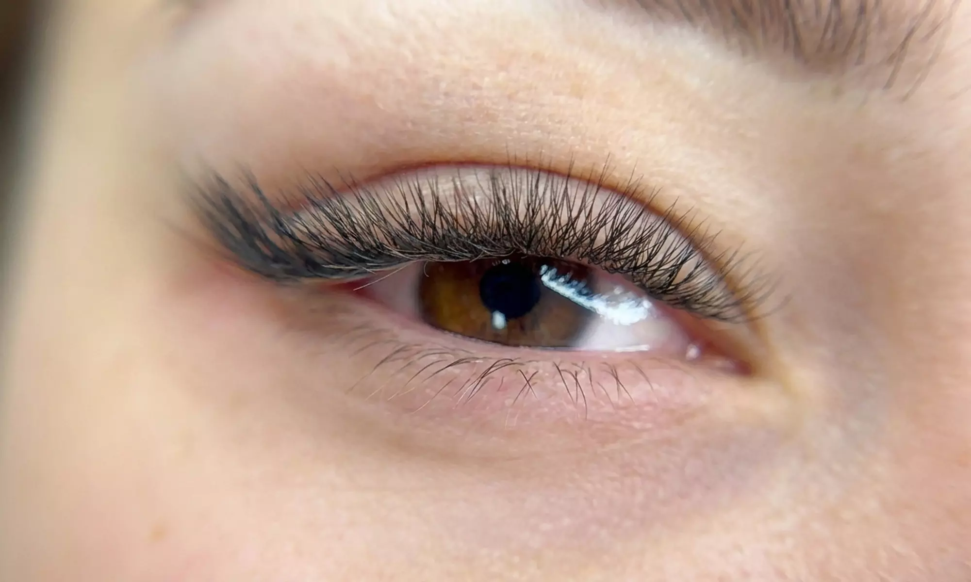 Get a Full Set of Lash Extensions with Optional Eyebrow Shaping