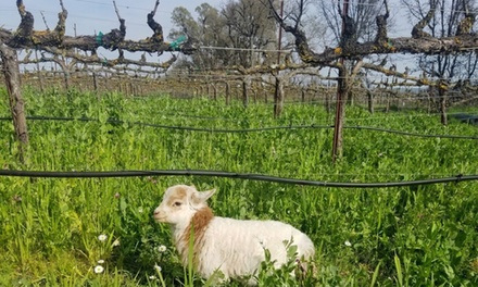 Farm Tour with Wine Tasting and Local Cheese Board for 4 - Harvest Moon Estate And Winery