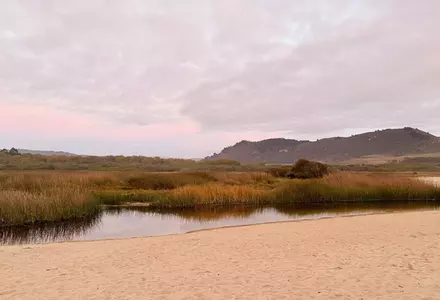 Carmel River State Beach