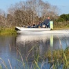 Image 2: Step Into Adventure on a 60-Minute Swamp Expedition or 90-Minute Gator Exploration Airboat Tour (Up to 20% Off)