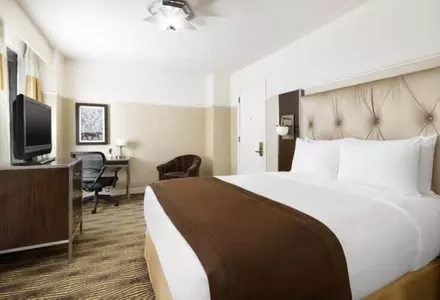 Metro Queen Room