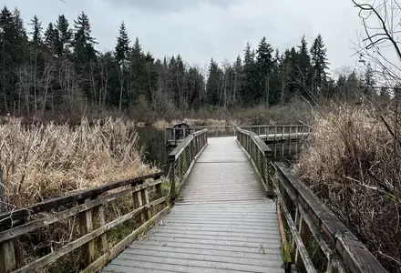 Scriber Lake Park