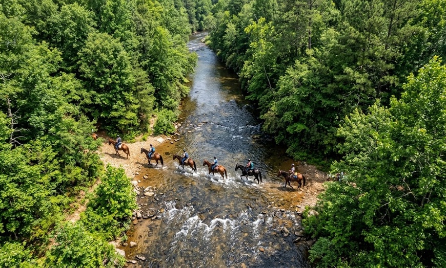 Image 4: Enjoy Scenic Horseback Riding Through Picturesque Trails