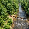 Image 4: Enjoy Scenic Horseback Riding Through Picturesque Trails