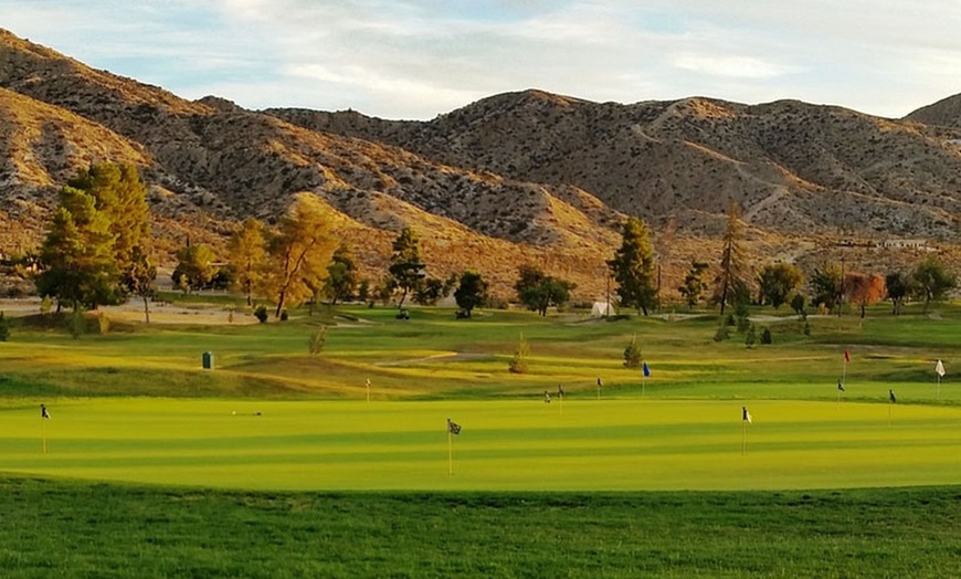 Image 4: Experience a blend of desert beauty and golf mastery at Hawk's Landing