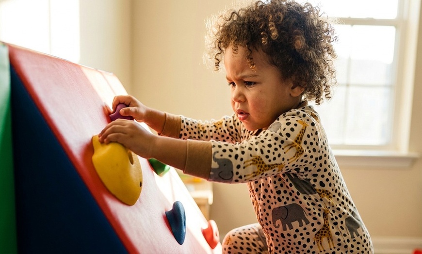 Image 5: Kids Animal Theme Jungle Gym Fun: Weekday Play Pass 