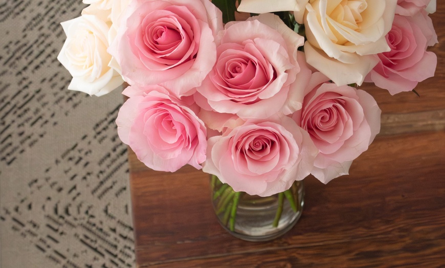 Image 14: *FLASH SALE* 24 or 36ct Roses Luxury Long Stem Rose Bouquet from Rose Farmers | Farm Fresh Roses (Up to 74% Off)