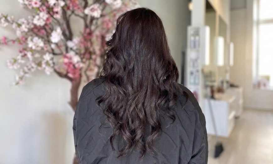 Image 3: Fresh Haircut, Single Process Color, or Highlights with Wash & Blowout