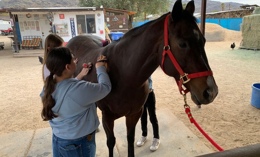 Image 3: Meet Ranch Animals w/ Balanced Beings Outdoor Recreation in Phoenix