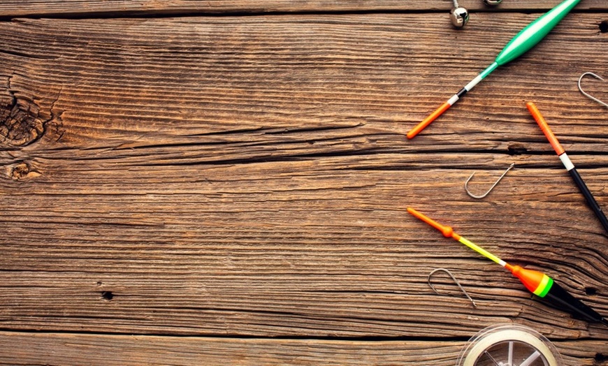 Image 2: One Afternoon Half-Day Fishing Charter for Up To 4 People!