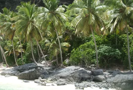 Playa Frontón