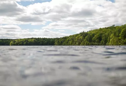 Walden Pond State Reservation