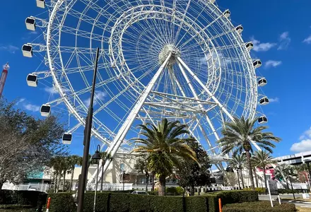ICON Park (The Wheel)