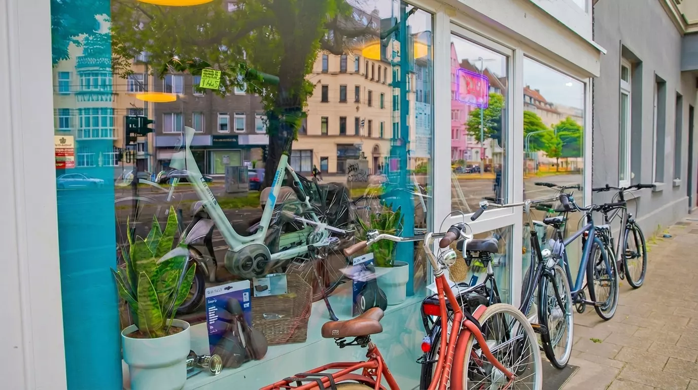 Fahrrad-Inspektion oder Reinigung für Fahrrad-, E-Bike- oder Lastenrad