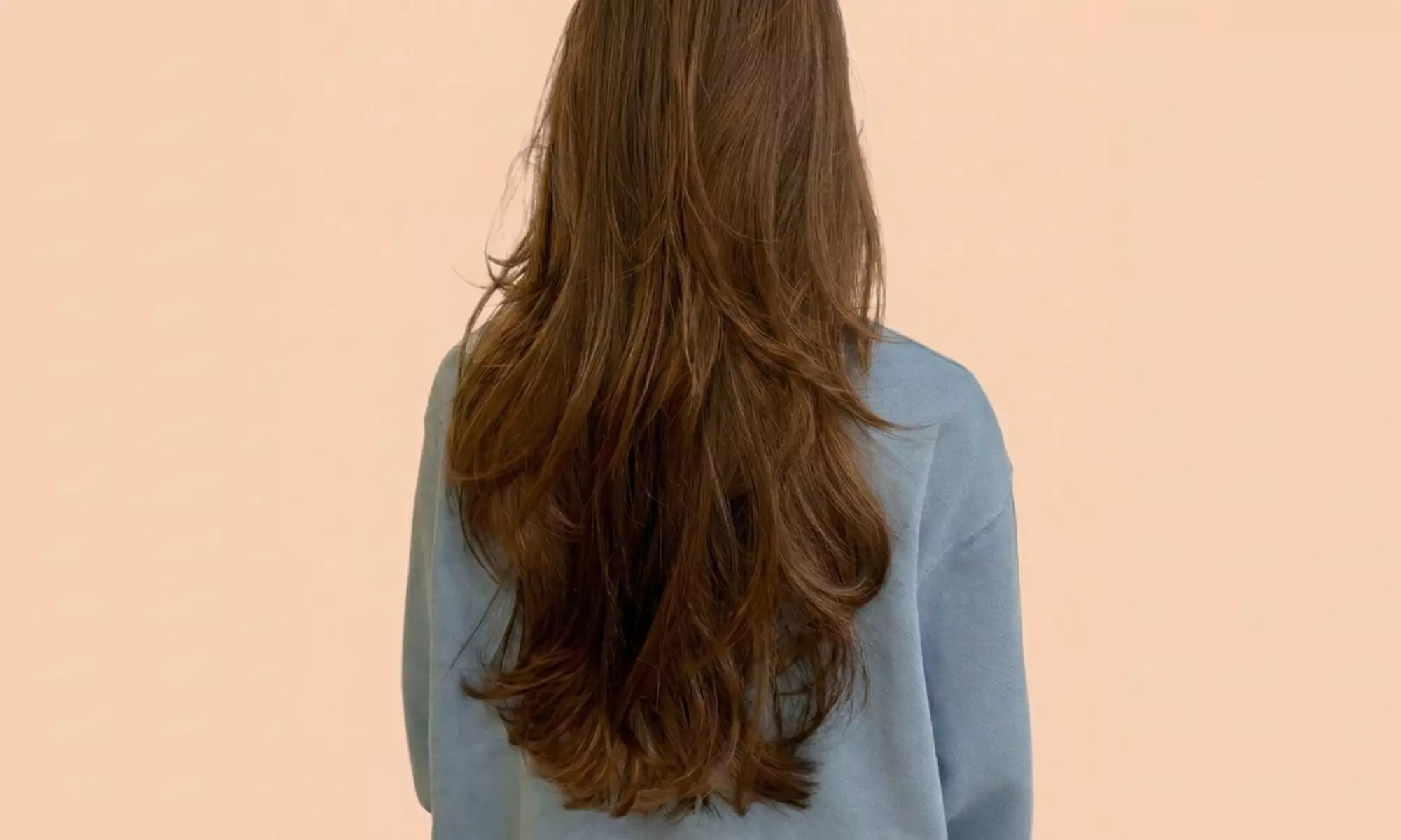 Strzyżenie, koloryzacja i regeneracja włosów