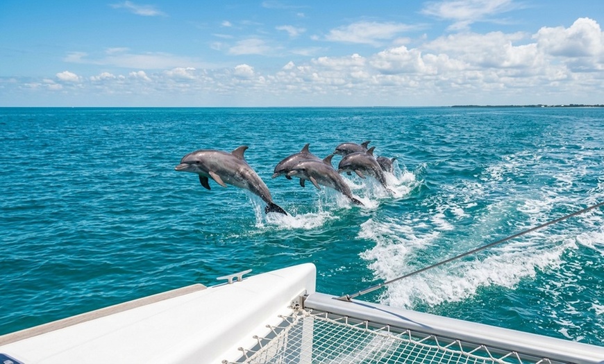 Image 2: Miss Naples Catamaran Cruise: Scenic Views of Naples Bay & Gulf