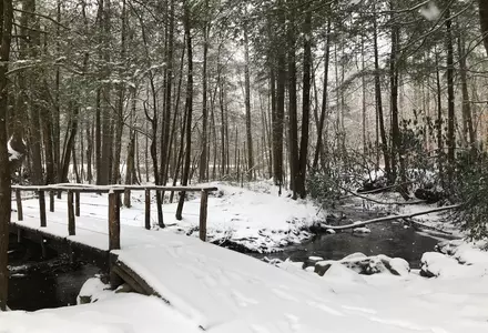 Cataract Falls Trail