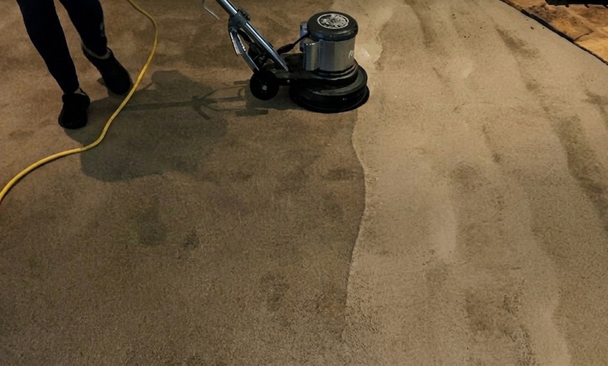 Image 3: Carpet Cleaning Services with Deodorizing