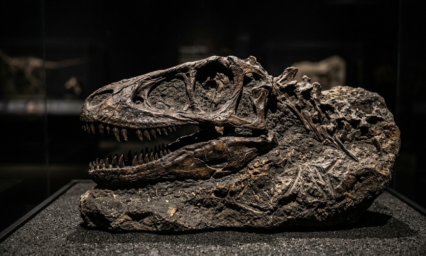 Image 2: Admission to the Las Vegas Science & Natural History Museum
