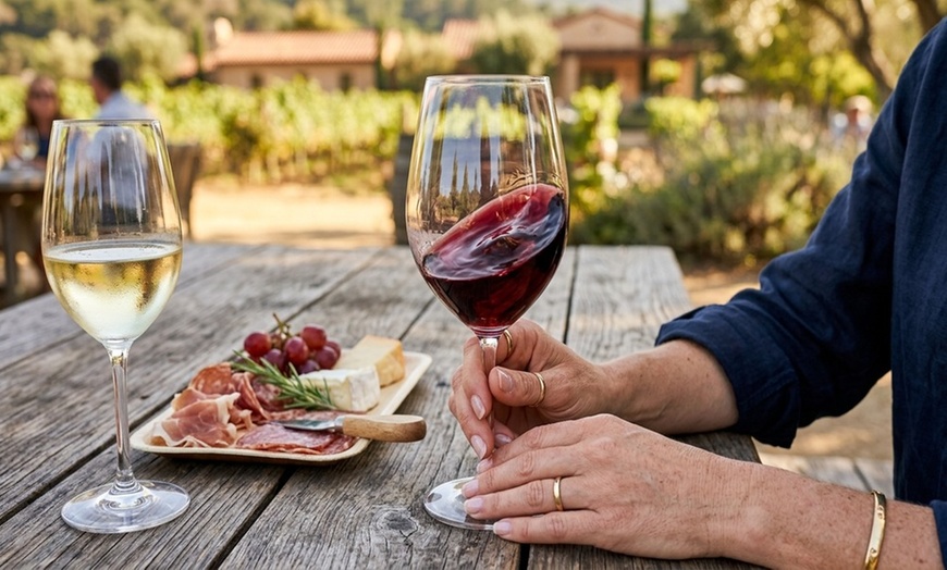 Image 2: Explore the Vineyard with a UTV Tour and Wine Tasting Adventure