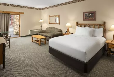 Royal Bear Suite