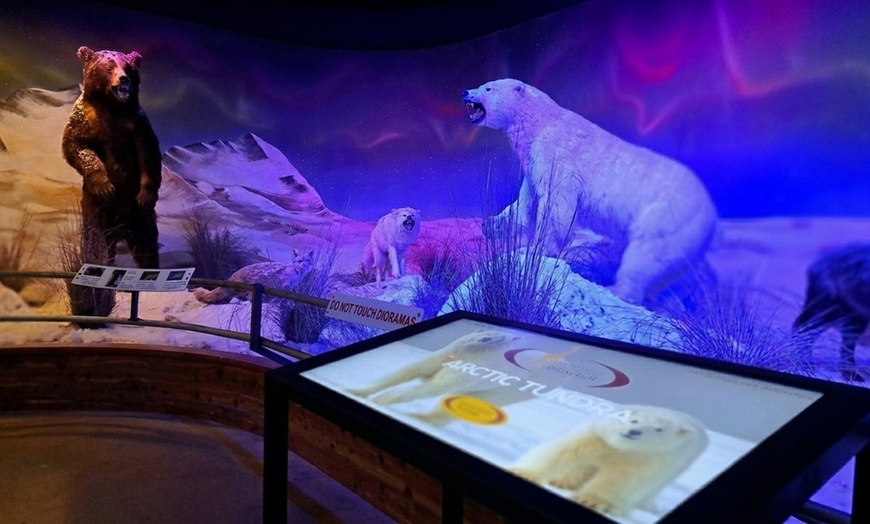 Image 8: Explore History, Art, Global Wildlife & Dinosaurs w/ Admission for 1-4