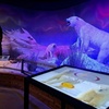 Image 8: Explore History, Art, Global Wildlife & Dinosaurs w/ Admission for 1-4