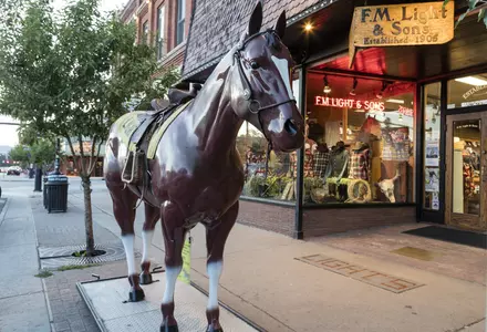 F.M. Light & Sons