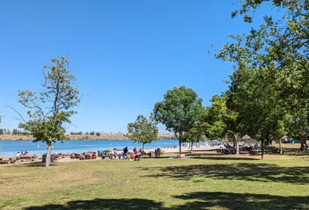 Shadow Cliffs Regional Recreation Area