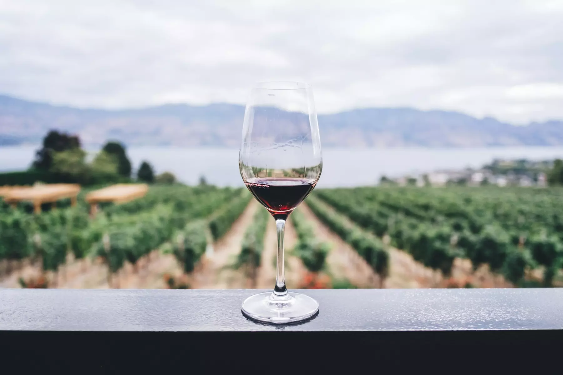 Up to 45% Off Admission to Hudson Valley Wine & Food Festival
