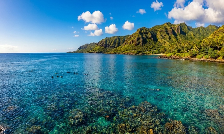 Image 6: Up to 50% Off on Snorkeling at Honolulu Snorkel Company