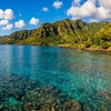 Image 6: Up to 50% Off on Snorkeling at Honolulu Snorkel Company