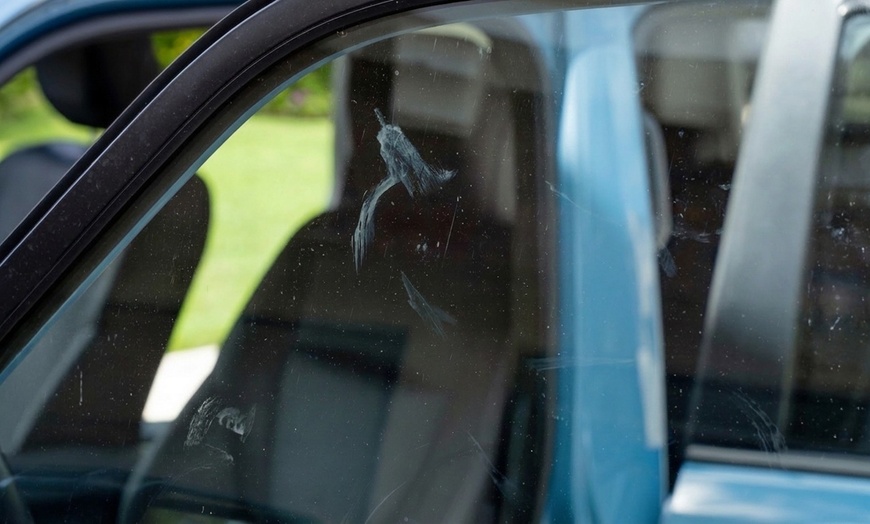 Image 2: Detailing or One-Step Paint Correction for Crossover or 2-Row SUV