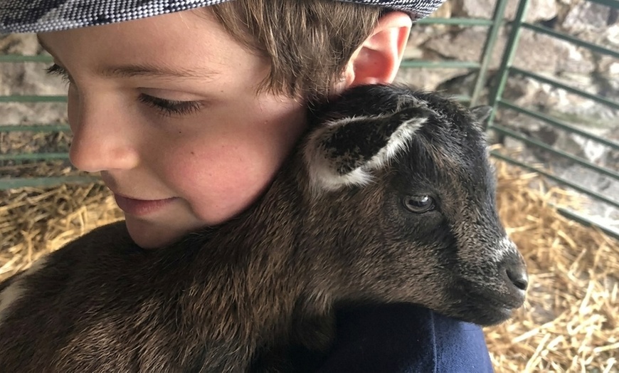 Image 2: Unleash the Fun at Maryland's Green Meadows Petting Farm!