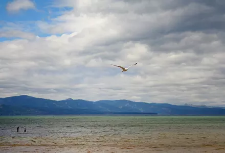 Regan Beach