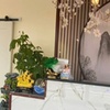 Image 1: Up to 55% Off on Couples Massage at Royal Massage And Spa