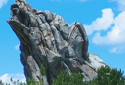 Disney California Adventure Park