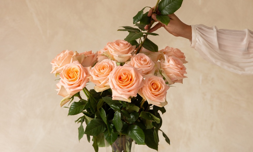 Image 20: *FLASH SALE* 24 or 36ct Roses Luxury Long Stem Rose Bouquet from Rose Farmers | Farm Fresh Roses (Up to 74% Off)