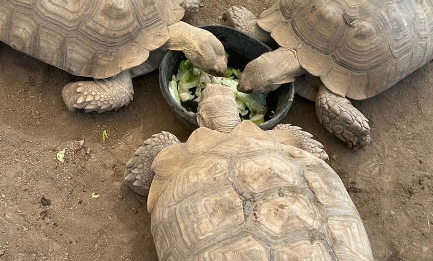 Image 22: Petting Zoo Admission Deals & Discounts