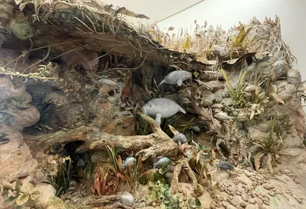 Orlando Science Center